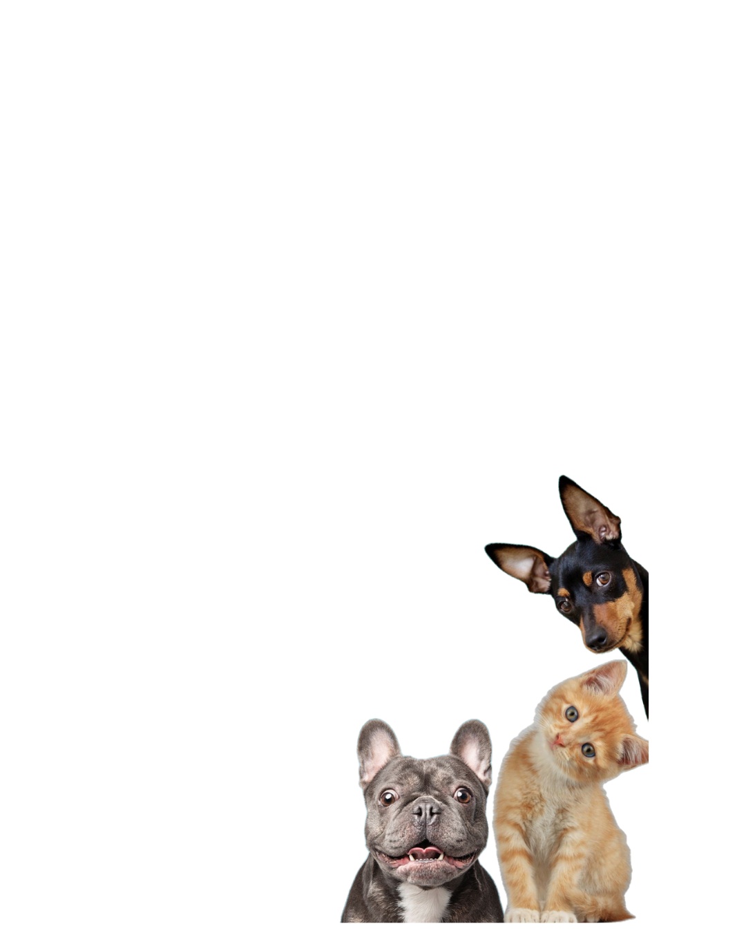 Livestock