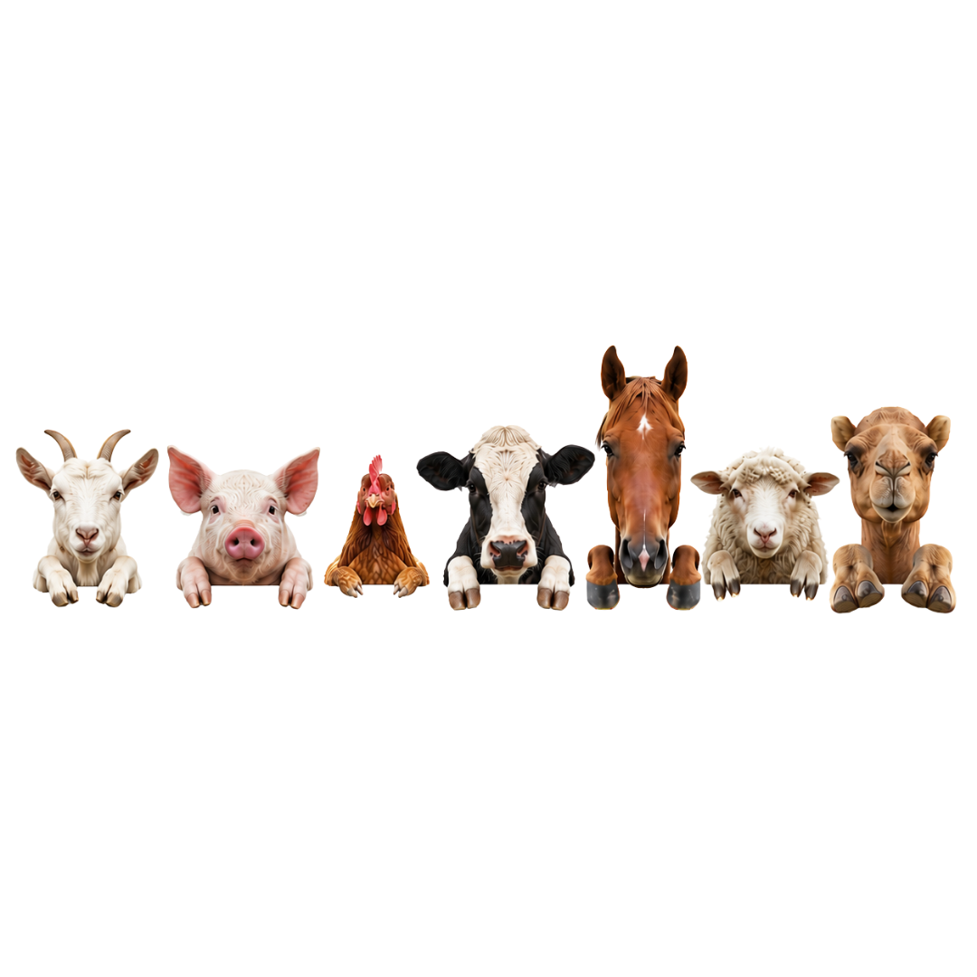 Livestock